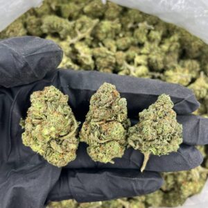 Rainbow Cake - Bulk 1 Pound - Hybrid