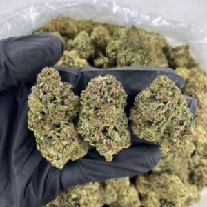 Dream Queen - 1 Pound Flower - Sativa