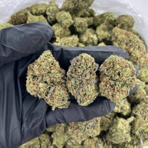 Ice King - Bulk 1 Pound - Hybrid