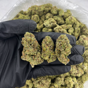 Black Runtz cannabis flower with dark purple and green buds covered in frosty trichomes — premium indica-dominant hybrid available for nationwide cannabis shipping across the USA.