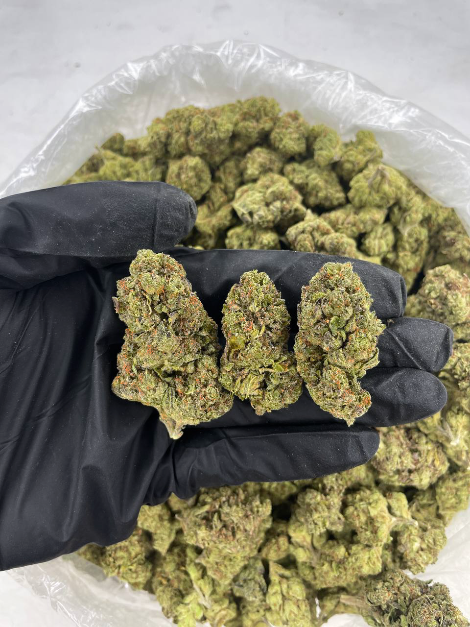 Black Runtz Strain – Premium Indica Hybrid for Nationwide Cannabis Shipping USA Black Runtz cannabis flower with dark purple and green buds covered in frosty trichomes — premium indica-dominant hybrid available for nationwide cannabis shipping across the USA.