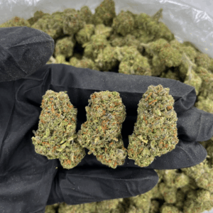 Candyland cannabis buds with golden trichomes and sweet candy aroma — premium sativa-dominant hybrid available for nationwide cannabis shipping across the United States.