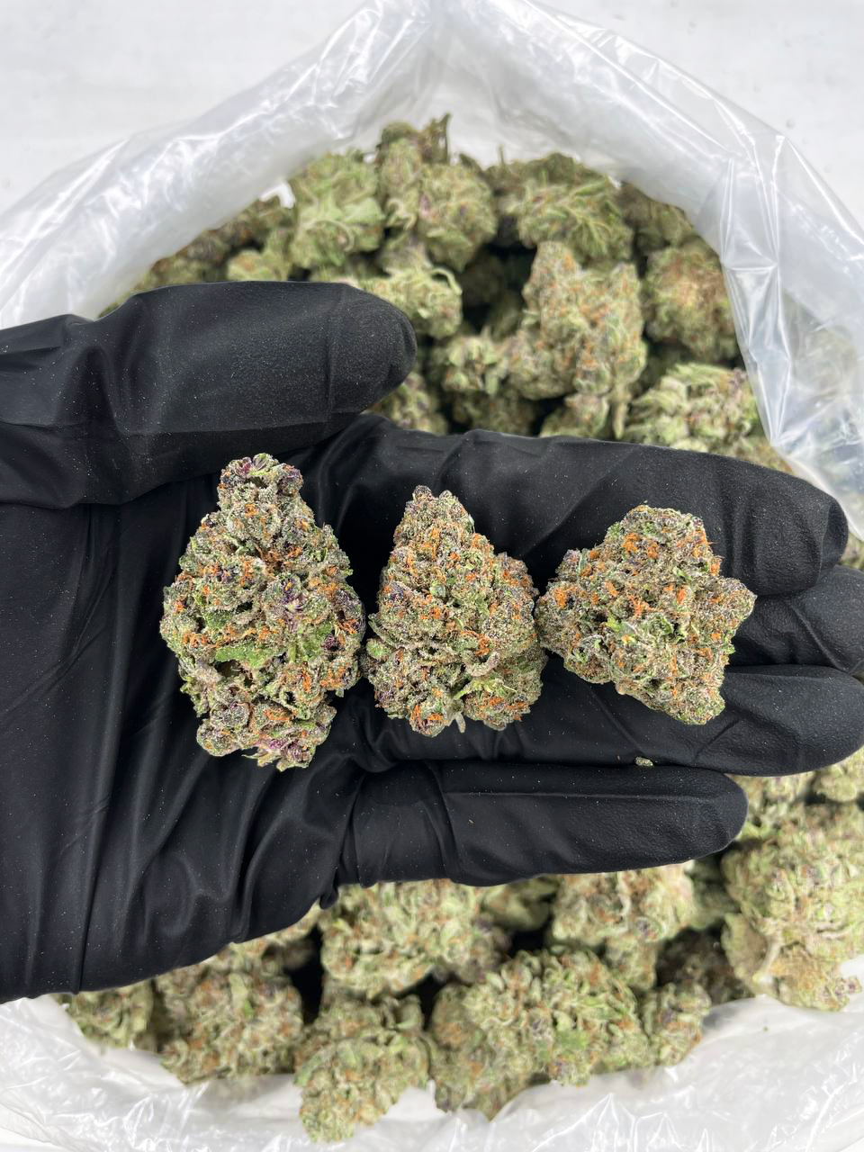 Diamond OG Strain – Premium Indica for Nationwide Cannabis Shipping USA Diamond OG cannabis buds coated in sparkling trichomes with green and amber tones — premium indica strain available for nationwide cannabis shipping across the United States