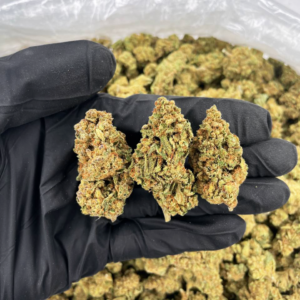 High-quality Afgoo cannabis flower with rich green buds, amber pistils, and frosty trichomes — premium indica strain available for nationwide cannabis shipping across the United States. Known for its earthy pine aroma and deeply relaxing effects, Afgoo is shipped discreetly and legally to customers nationwide