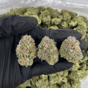 G45 cannabis buds covered in frosty trichomes with green and amber tones — premium hybrid strain available for nationwide cannabis shipping across the United States.