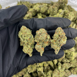 Green Candy cannabis buds with bright green color and frosty trichomes — premium sativa-dominant hybrid available for nationwide cannabis shipping across the United States.