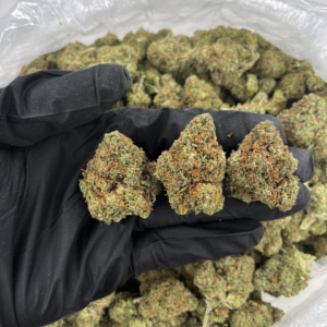 Ice Cream Cake cannabis buds with frosty trichomes and creamy vanilla aroma — premium indica-dominant hybrid available for nationwide cannabis shipping across the United States.