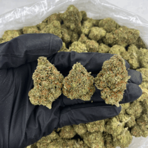 Zombie Cake cannabis buds with frosty trichomes and purple hues — premium indica-dominant hybrid featuring sweet vanilla and gas aroma, available for nationwide cannabis shipping across the United States.